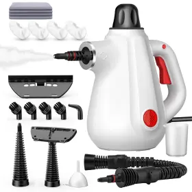 ZR008 ASINPOLLY Steam Cleaner Pressurized Natural Handheld