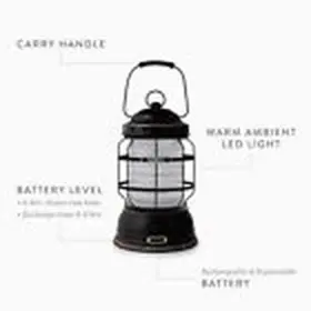 BARE160 BAREBONES Forest Lantern Rechargeable Battery Dusty #3