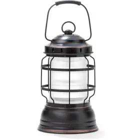 LIV-261 BAREBONES LIVING Forest Lantern #2