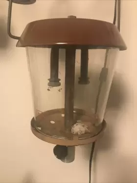 1288 COLEMAN Century Primus Double