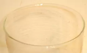 220F-228F-220H-228H COLEMAN Pyrex Lantern Globe #3