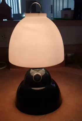 5370C1900 COLEMAN Camping Table Lamp Lantern Battery