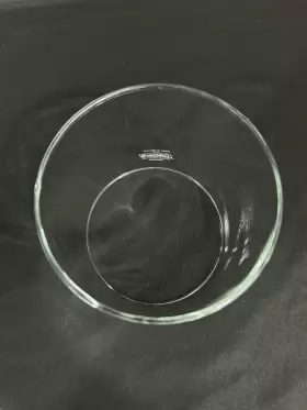 609A048C COLEMAN Straight Lantern Globe #2