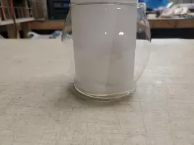 MC14 COLEMAN Lantern Glass Globe #2