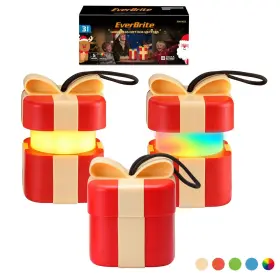 041062 EVERBRITE Lantern Light Holiday Decoration Christmas
