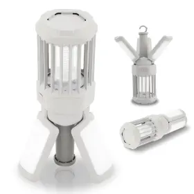 215527 CAMPING Lantern Light
