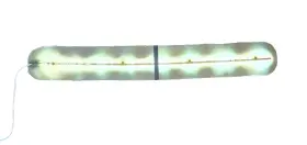 846647007336 KLYMIT Everglow Led Light Inflatable Camping Usb #2