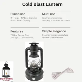 RPLAMP5 LIGHT OF MINE LET IT SHINE Hooded Oil Lamp Chimney #3