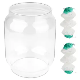 768825906852 LVACODV Lantern Globe Coleman Northstar