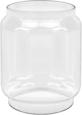 313053648625 MAGLUV Lantern Globe Coleman Northstar