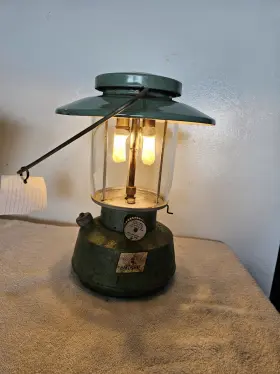 60-9536 MONTGOMERY WARD Seafoam Lantern Glass Globe