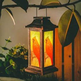 615855869766 TOPADORN Solar Lantern Waterproof Lamp Garden