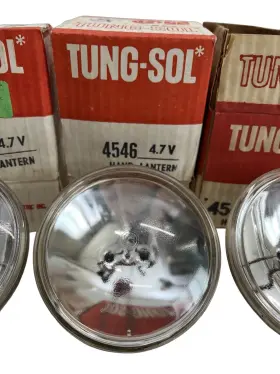 4546 TUN-SOL Lantern Bulb Tung Glass #2