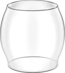 Lantern Glass Replacement For Coleman 200a Globe R690b051 Vintage Fueled. Fixed Price $26.40.
