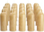 20 Pack 12 Hour Beeswax Candles For Camping Lanterns Emergency Preparedness. Fixed Price $81.49.