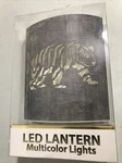 Led Bear Lantern Multi Color Lights Requires 2aa Batteries - Change (lr-19. Fixed Price $4.95.