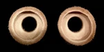 Two (2) Handmade Leather Pump Cups - Fits Coleman (part 216-5091 Replacement). Fixed Price $12.00.