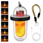 Auge Light Vintage Camping Lantern Battery Powered With Flickering Flame Effect,. Fixed Price $137.67.