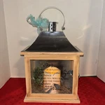 Carson Hearts Forever Memorial Lantern, 8.5x 5 X 12.5 - Missing 1 End Glass. Fixed Price $19.20.