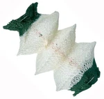 Coleman (coleman) Mantle (95-inch) 95-102j. Fixed Price $30.43.