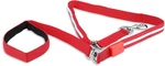 Blazin' Safety Led Dog Leash - Usb Rechargeable Light, 6 Ft, Waterproof Avoid. Fixed Price $39.12.