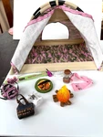Rare Bratz Adventure Girlz Wild Life Camp Tent & Lantern Bon Fire Backpack &more. Fixed Price $48.00.