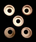Five (5) Handmade Leather Pump Cups - Fits Coleman (part 216-5091 Replacement). Fixed Price $19.00.