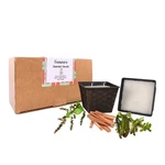 Balsam Fir Candles Pack Of 2,long Burning Sandalwood Lavender Scent Candle,na.... Fixed Price $31.01.