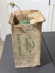 Coleman Cl2 Lantern Green In Box Double Mantel Untested. Fixed Price $50.00.